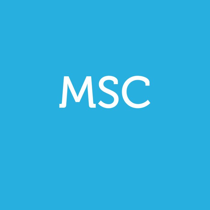 medita-mindful-msc-logo-azzurro